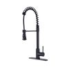 Single Handle Commercial Modern Spring High Arc Kitchen Faucet